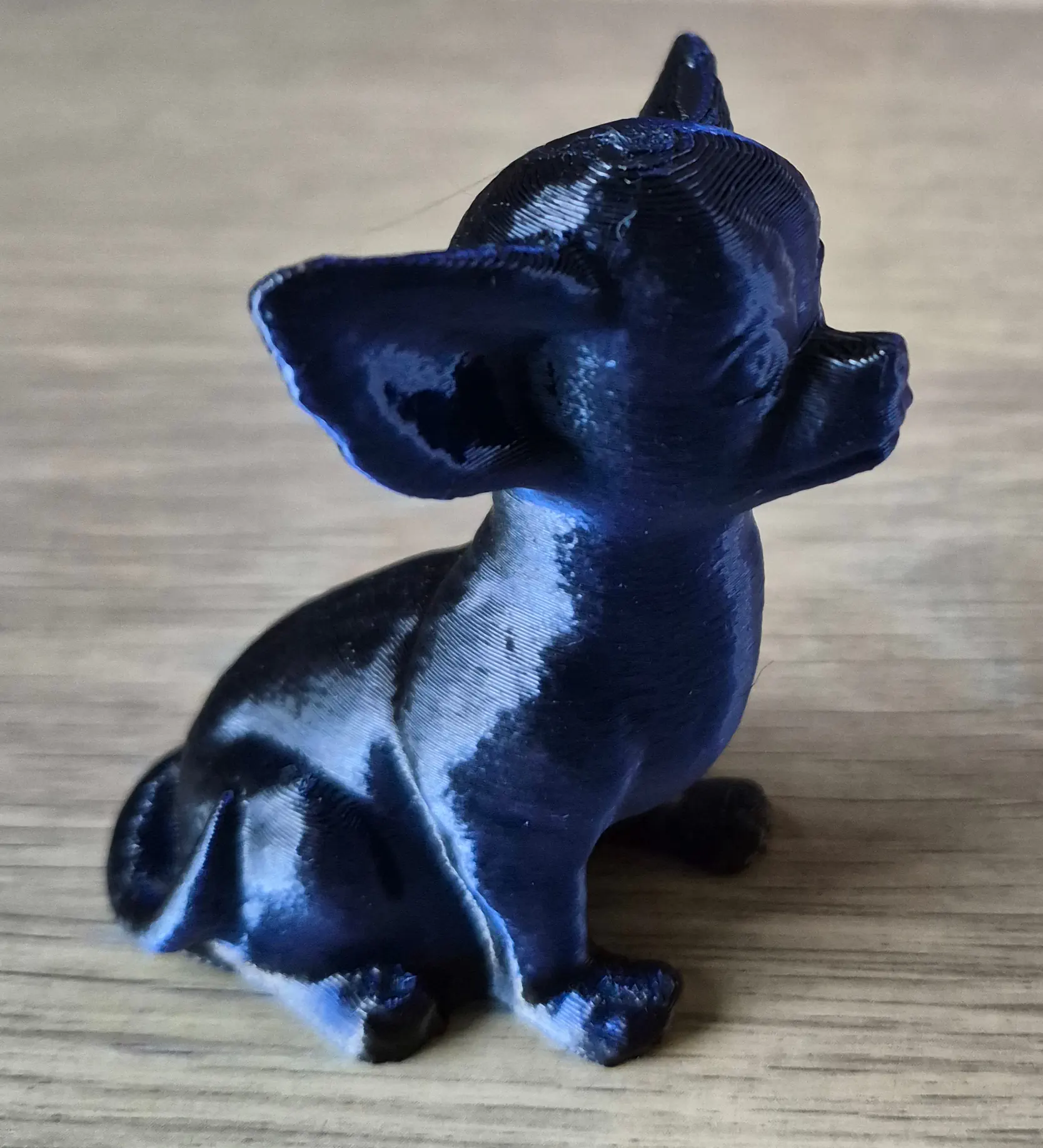 Chien Chihuahua