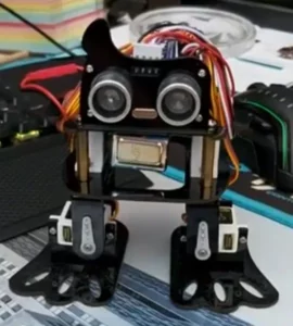 DIY Dancing Robot